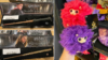 noble-collection-harry-hermione-wands-pygmy-puffs-collage