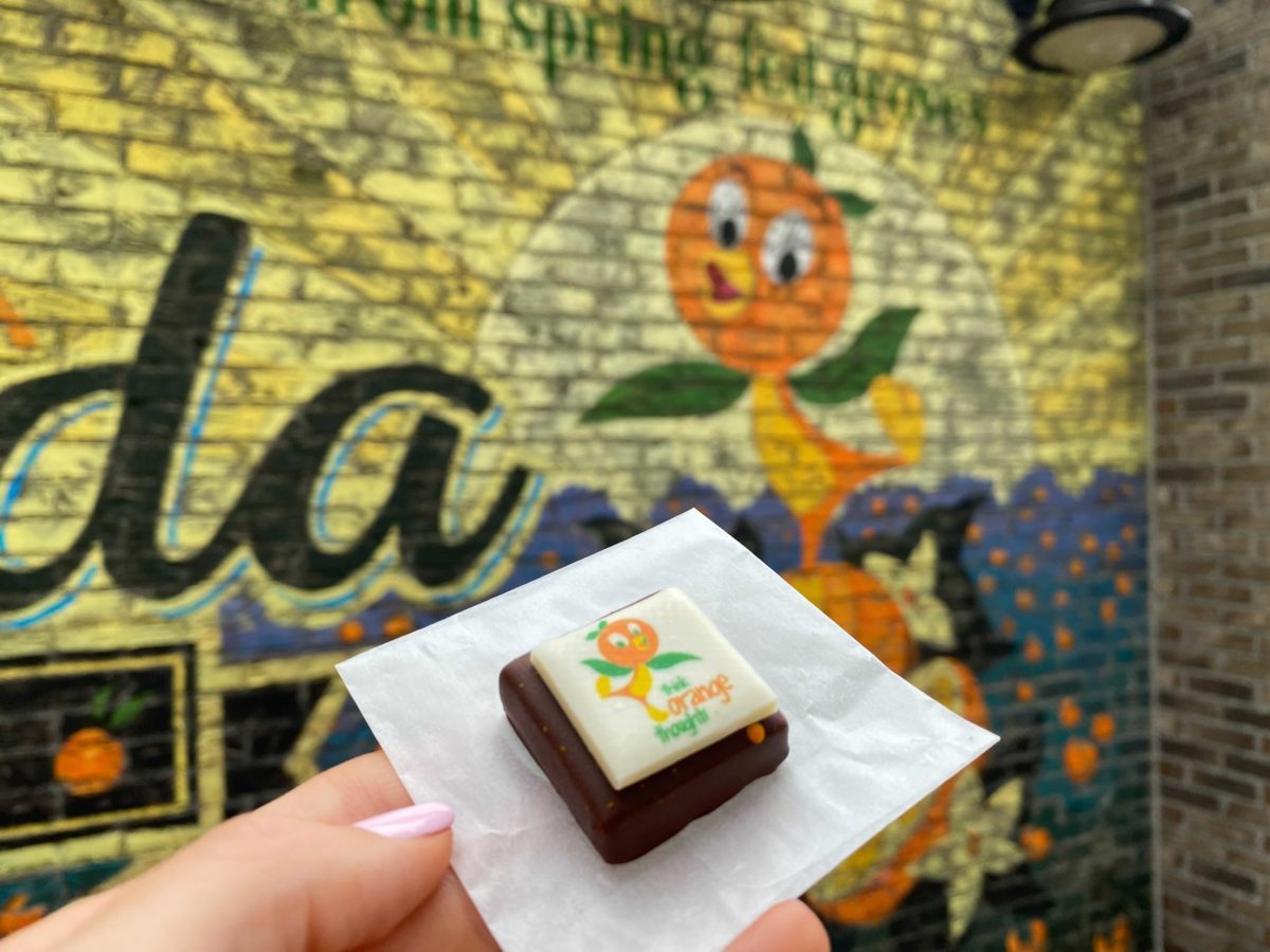 orange-bird-ganache-1