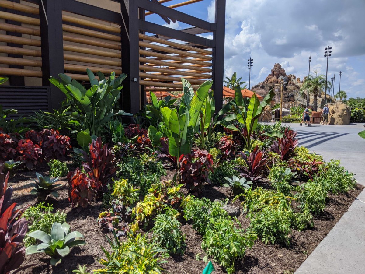 Construction update at Disney's Polynesian Village Resort