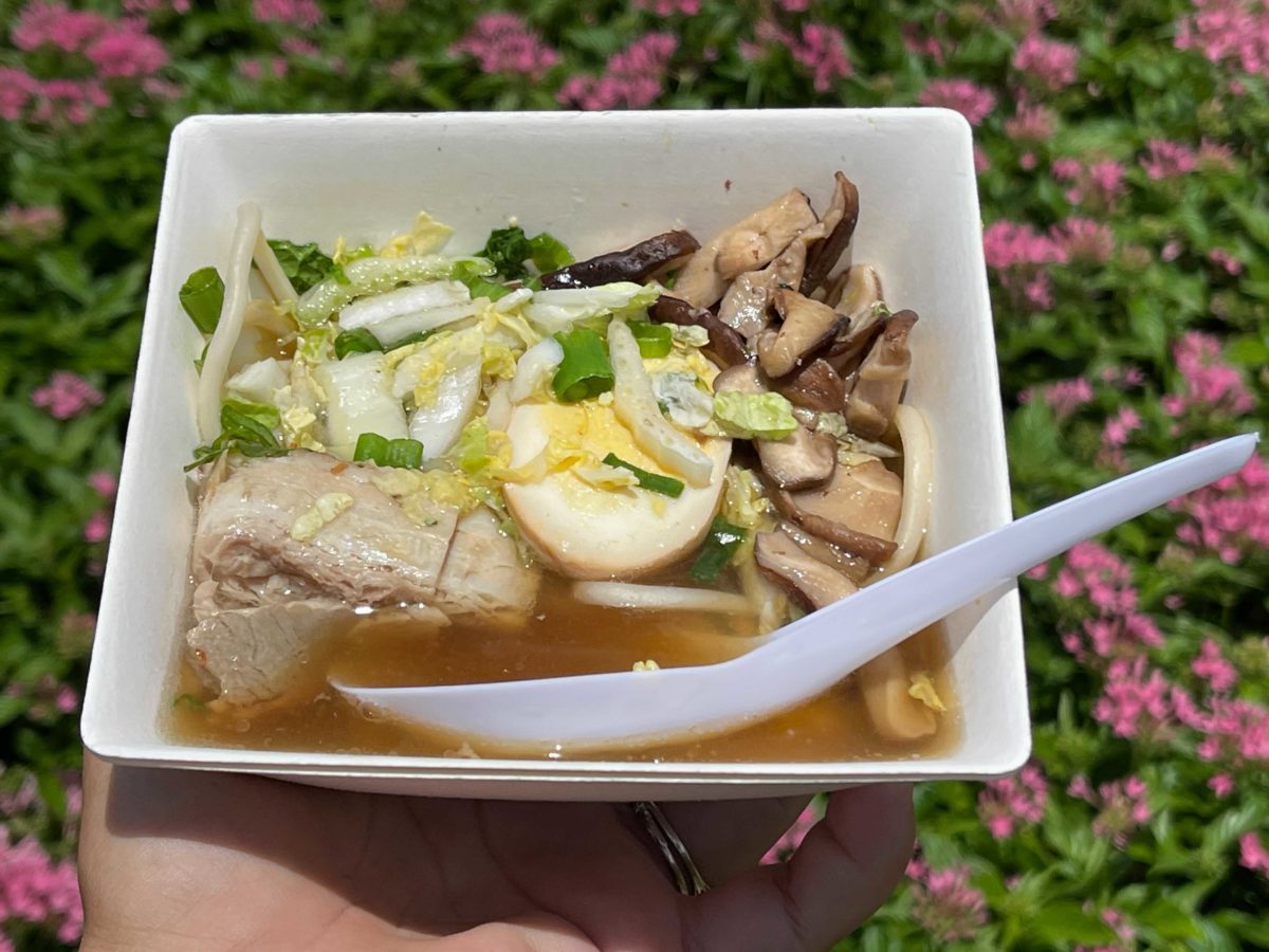 the-noodle-exchange-pork-udon-2