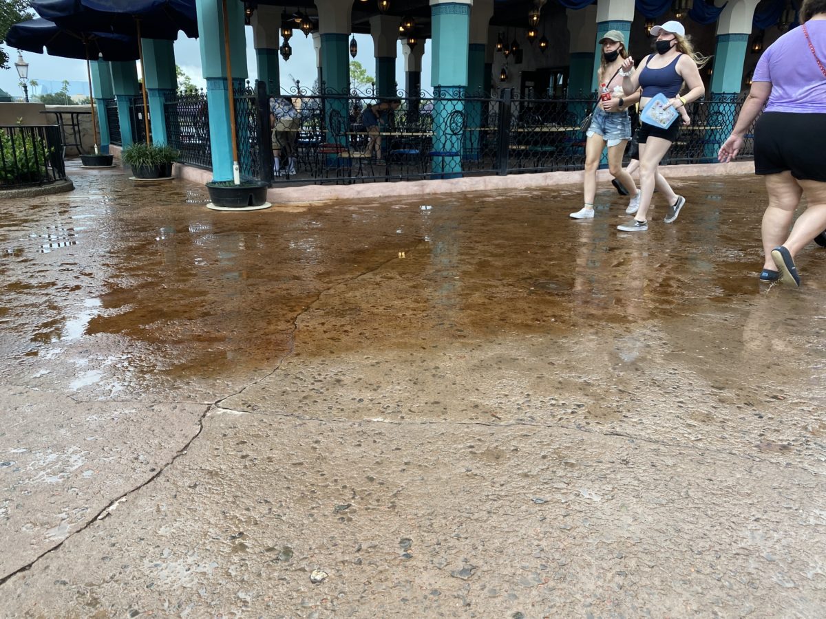 epcot-photo-report-8-2-21-15