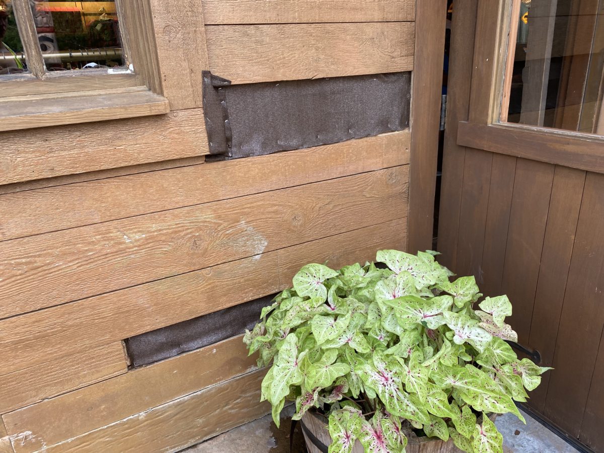 epcot-photo-report-8-2-21-16
