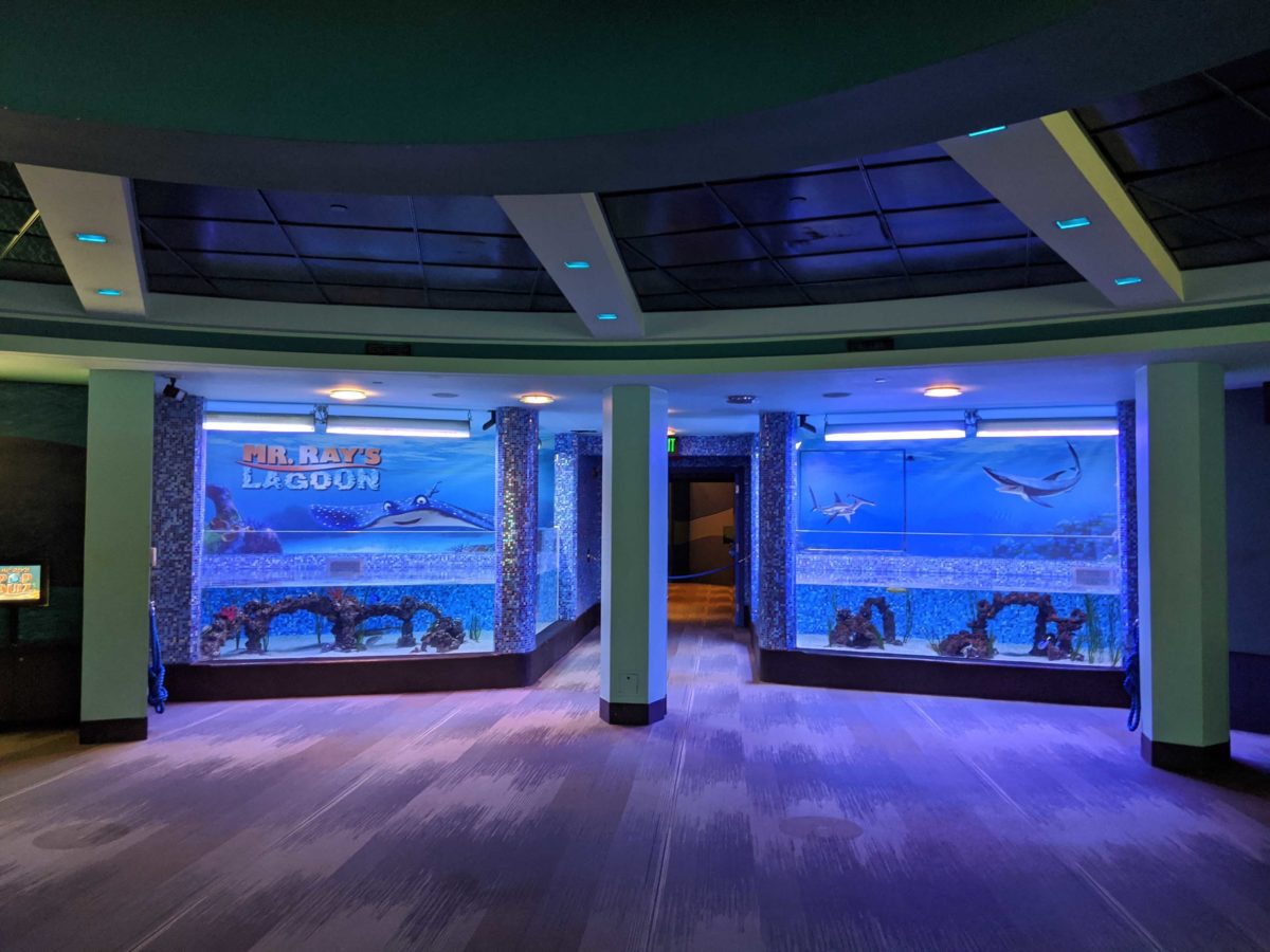 epcot-turtle-talk-with-crush-reopens-13-5188069