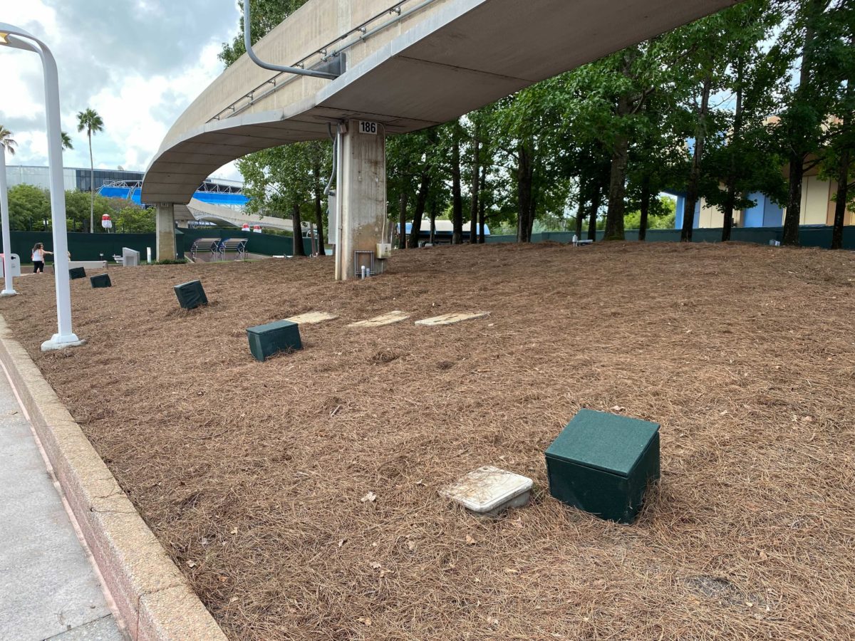 epcot-mouse-gear-landscaping-cleared-4-8464027
