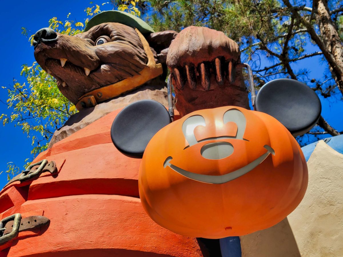 grizzly-river-run-bear-halloween-close-up