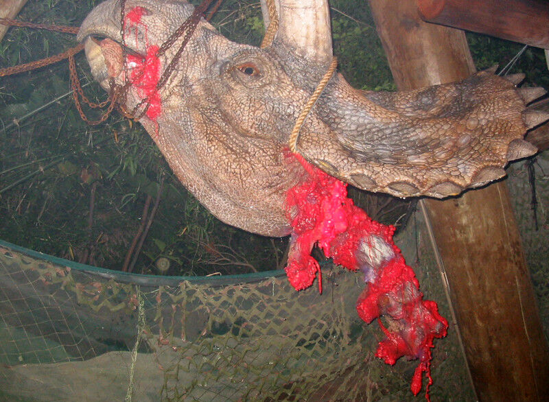 hhn-iof-project-evilution-hhn-wiki-4702133