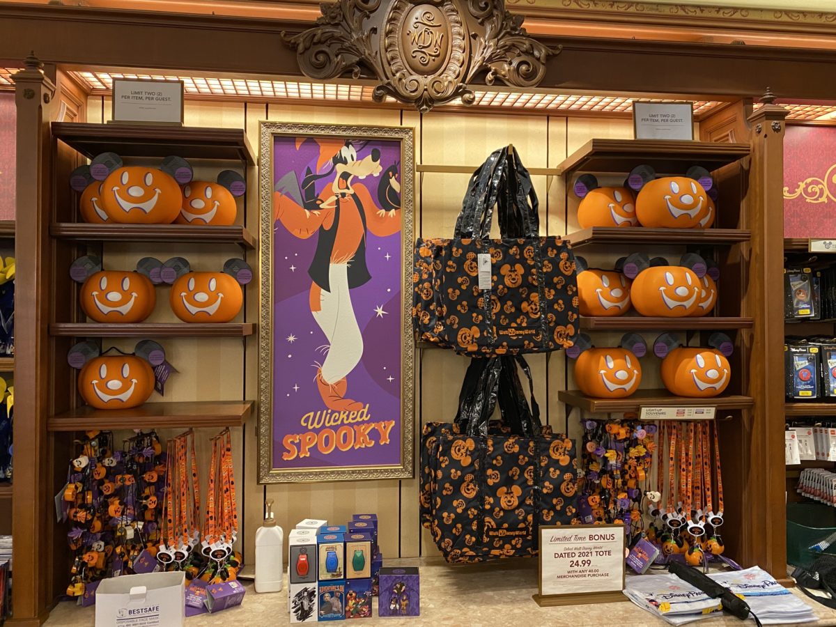 magic-kingdom-photo-report-8-27-213