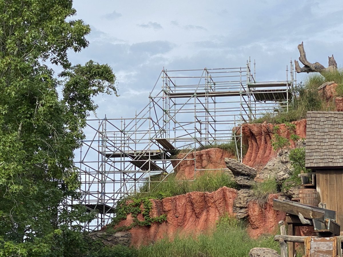 magic-kingdom-photo-report-8-4-21-25