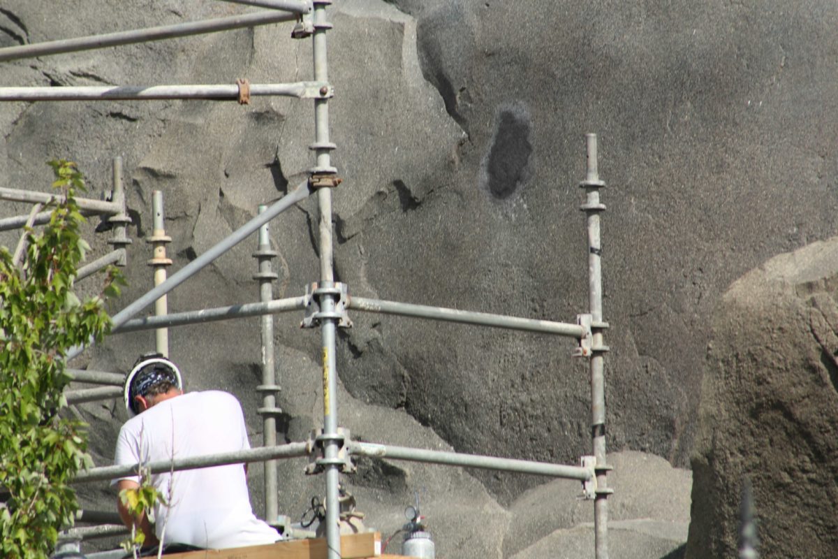 be-our-guest-repainting-8-18-21-15
