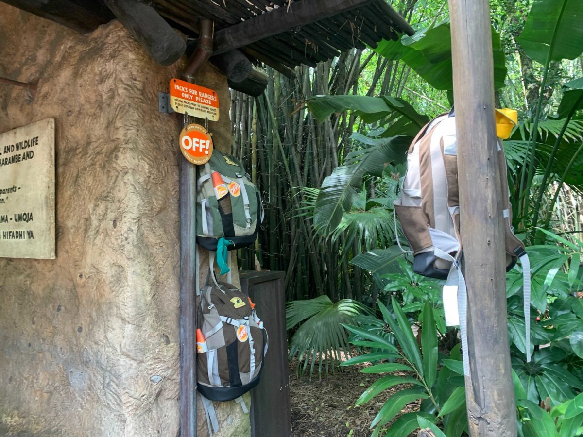 PHOTOS: Gorilla Falls Exploration Trail at Disney's Animal Kingdom Now