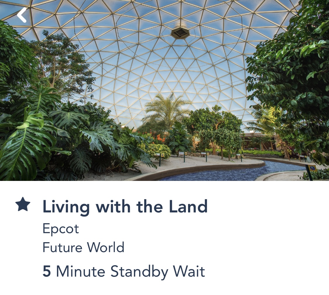living-with-the-land-reopen-8803124