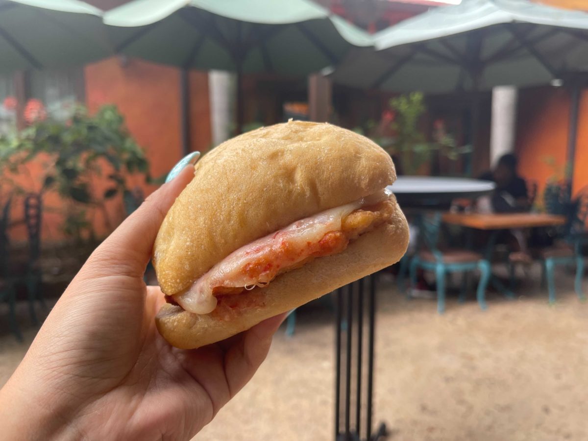 pizzafari-chicken-parmesan-sandwich-6