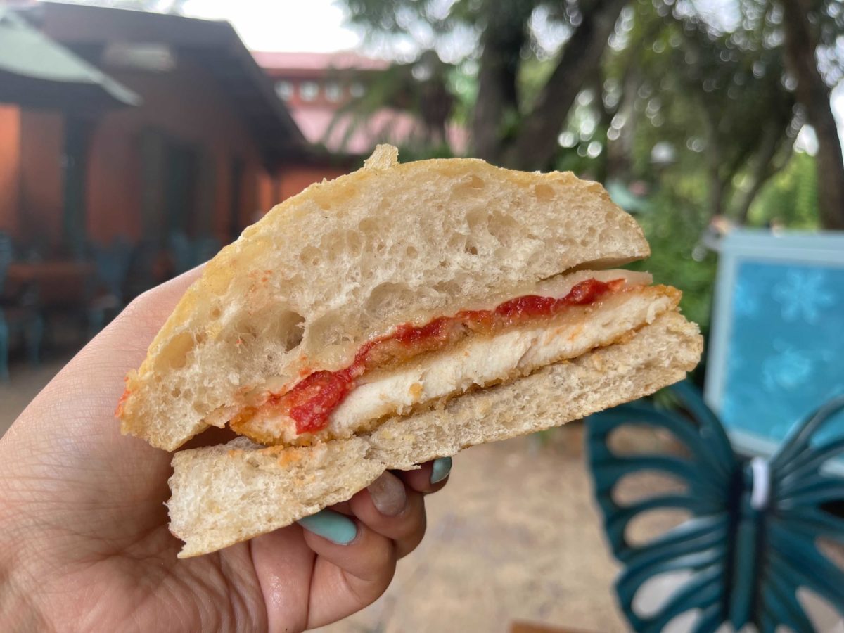 pizzafari-chicken-parmesan-sandwich-9