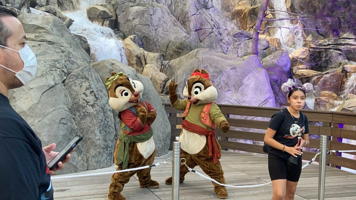 dca-oogie-boogie-bash-chip-dale-1-2561462
