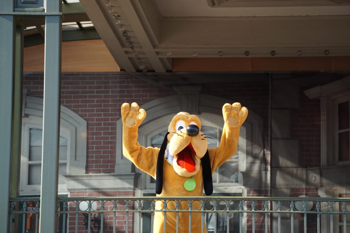 dsc04512-6468489