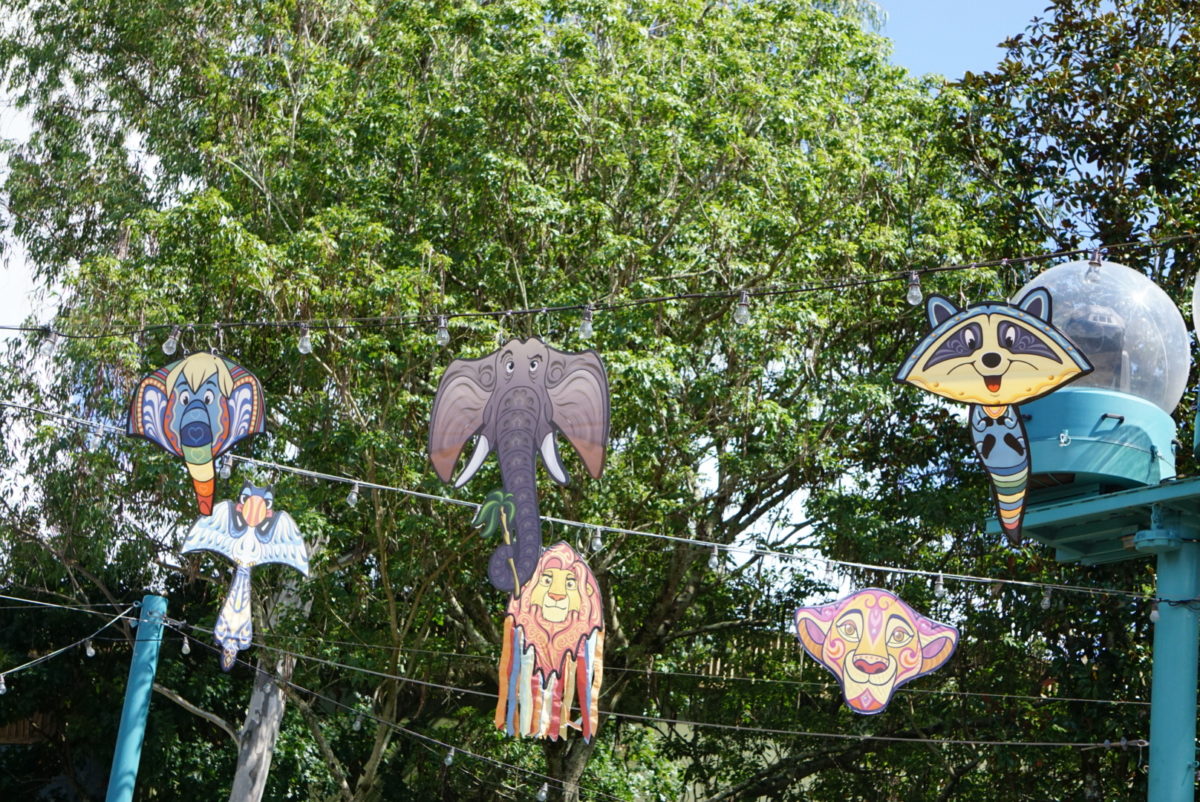 dsc07618-8267189