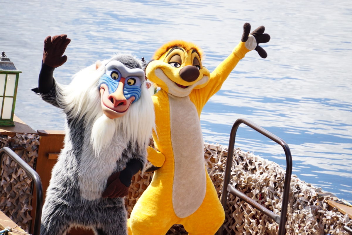 dsc07653-2991177