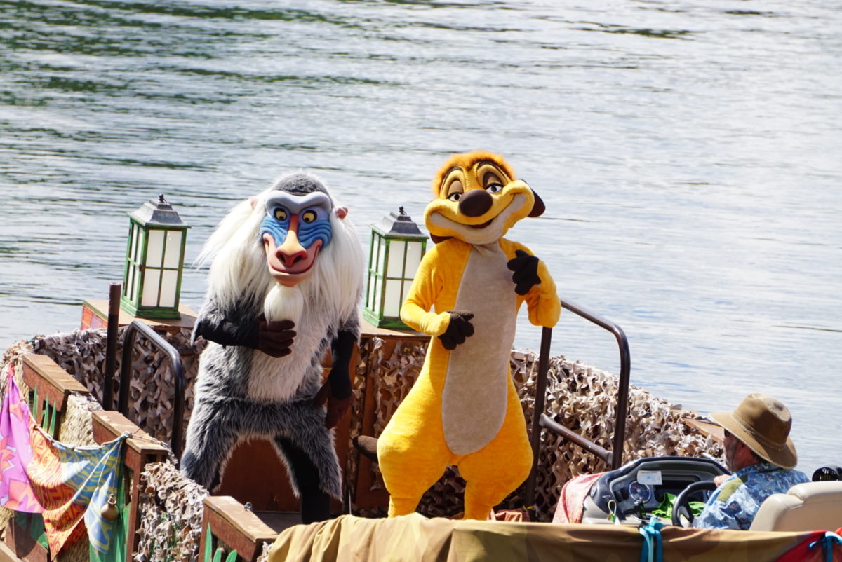 dsc07656-8574269