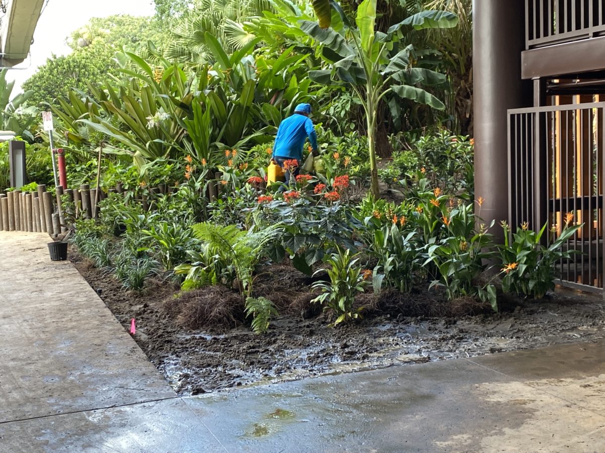 magic-kingdom-photo-report-9-13-21-8