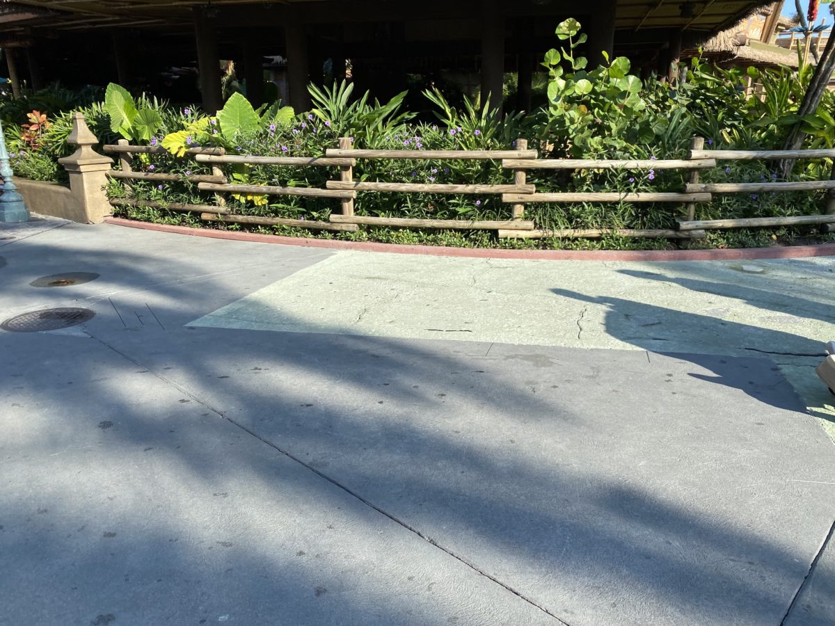 magic-kingdom-photo-report-9-6-2110