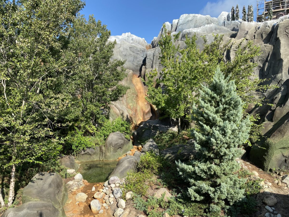 magic-kingdom-photo-report-9-6-2124