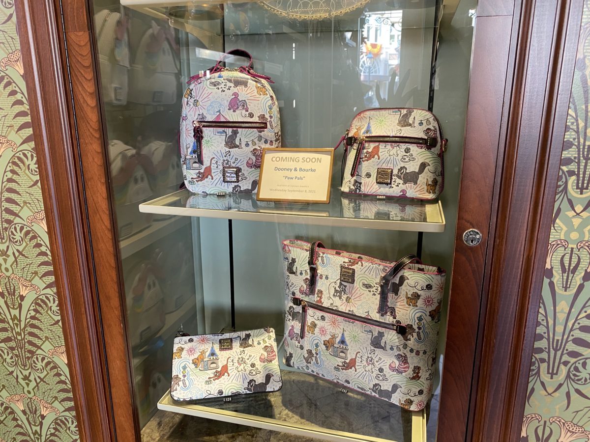 magic-kingdom-photo-report-9-6-213
