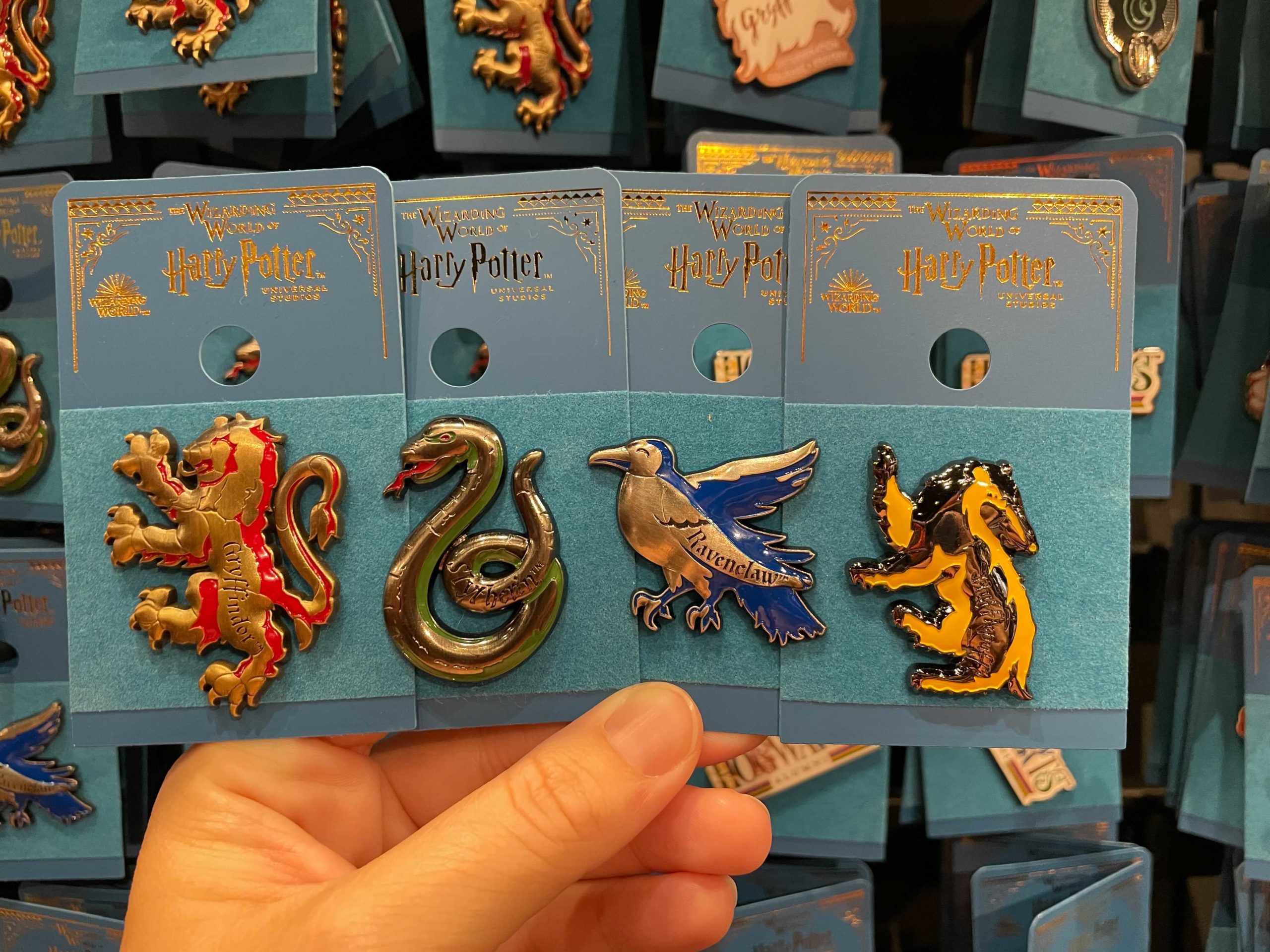 New Universal Studios Parks The Wizarding World Of Harry Potter Muggle Pin
