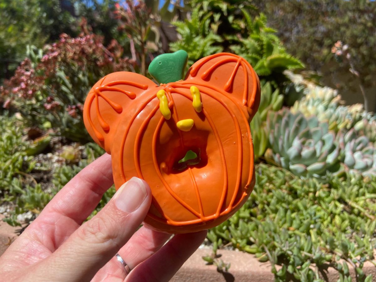 craftsman-mickey-pumpkin-donut-4-2345549