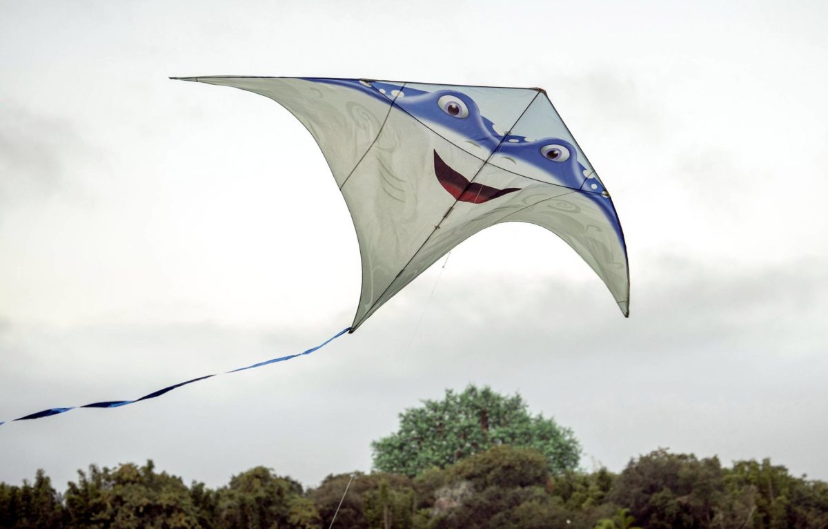disney-kitetails-7