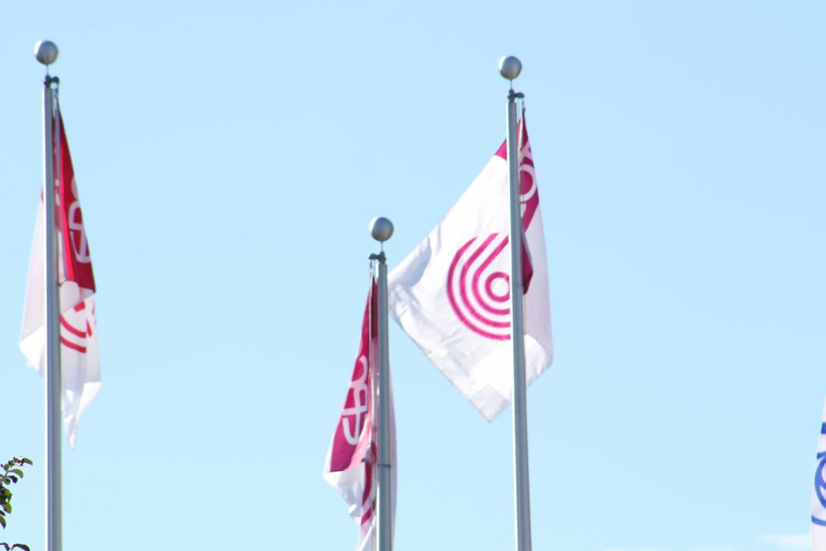 epcot-pavilion-flags-9