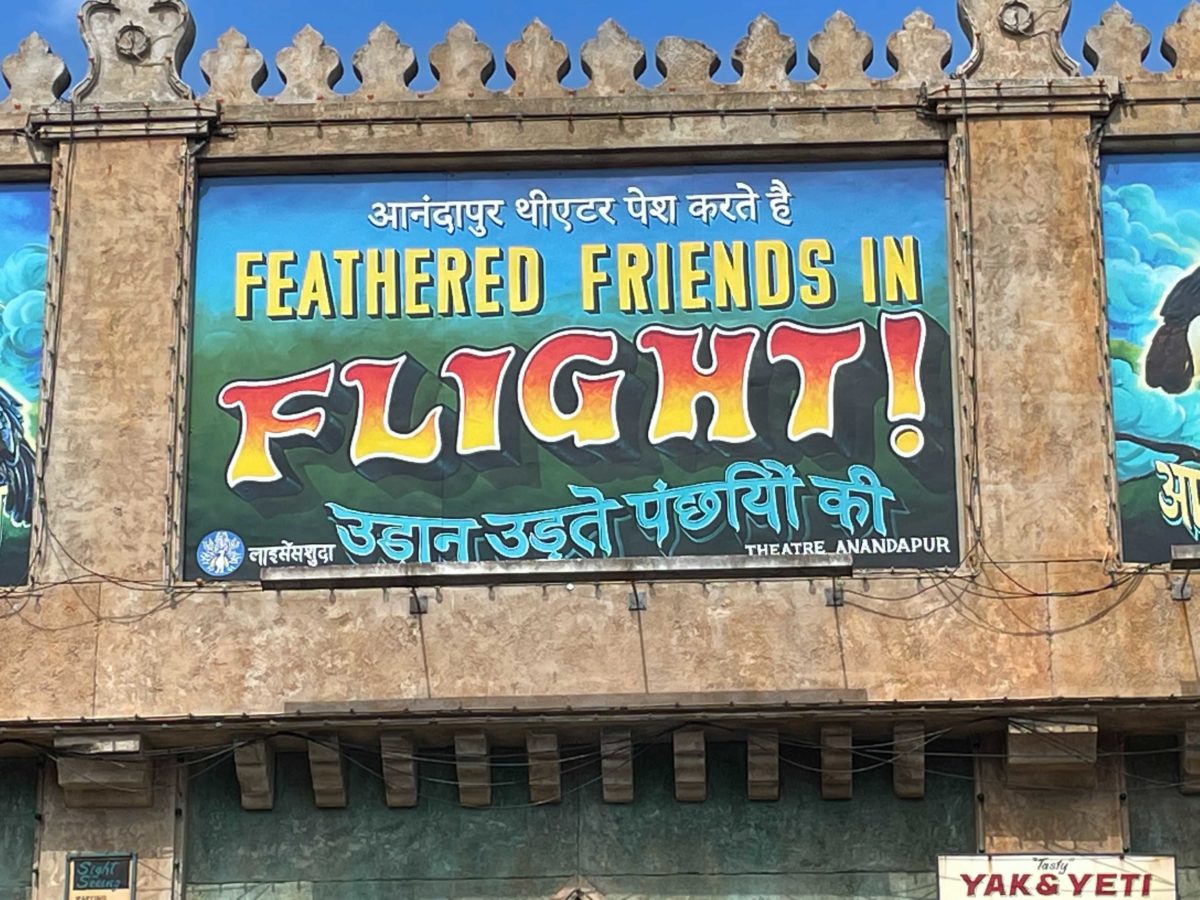 feathered-friends-in-flight-signage-2