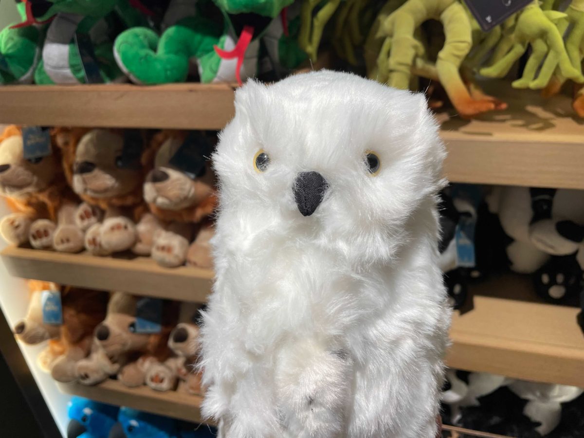 harry-potter-owl-plush-3-7169612