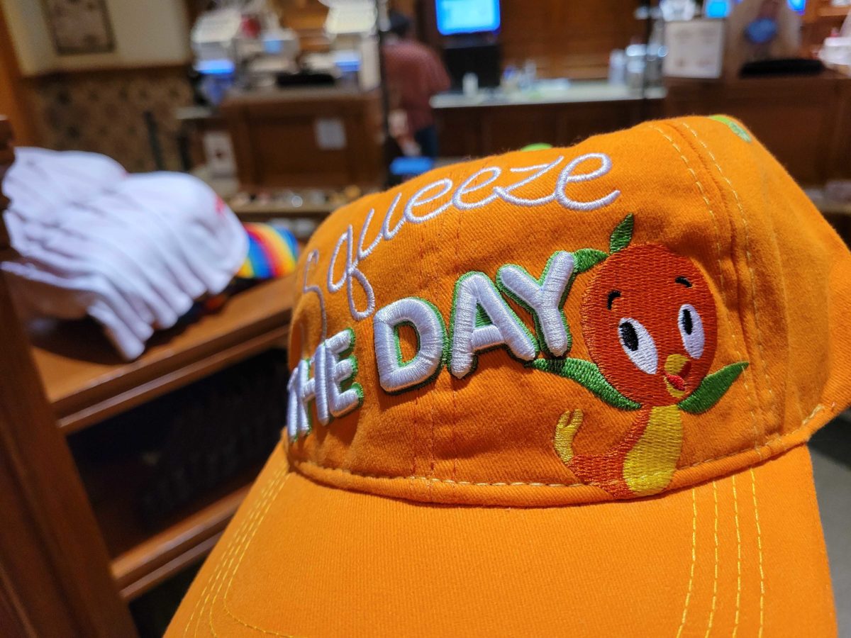 orange-bird-hat-082712