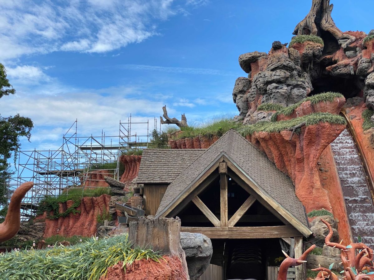 splash-mountain-scaffolding-12