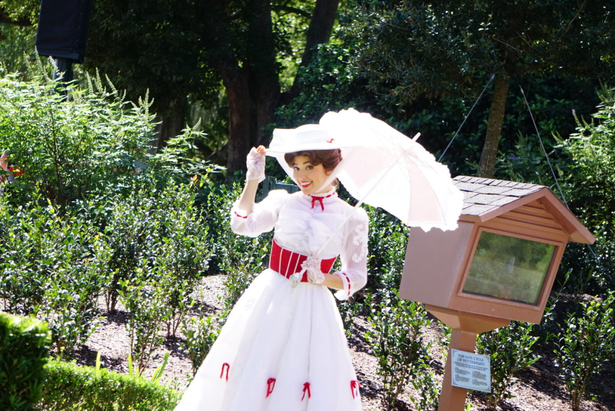 dsc08296-6610186