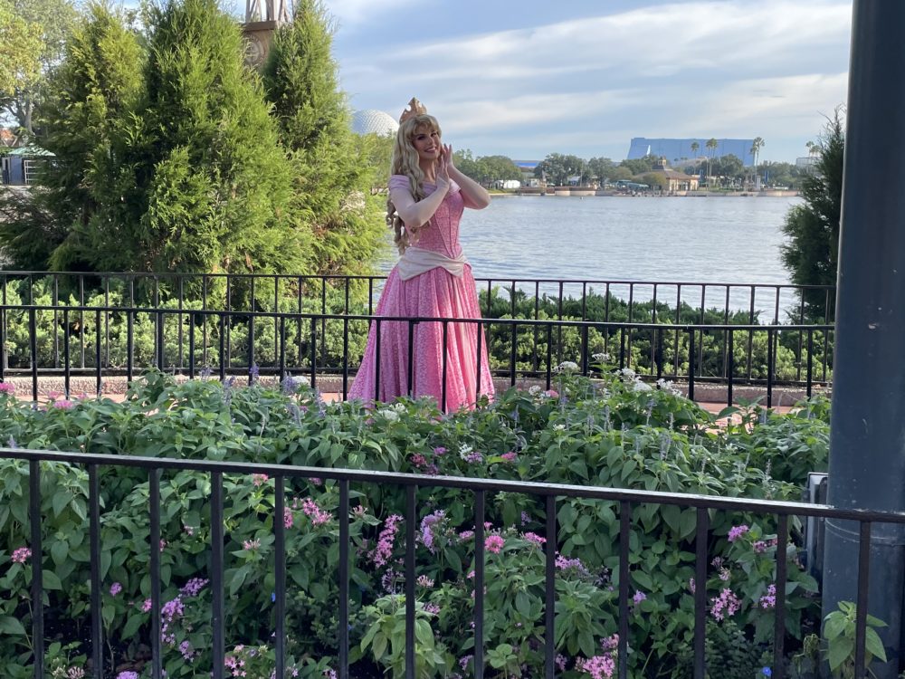 sleeping-beauty-epcot