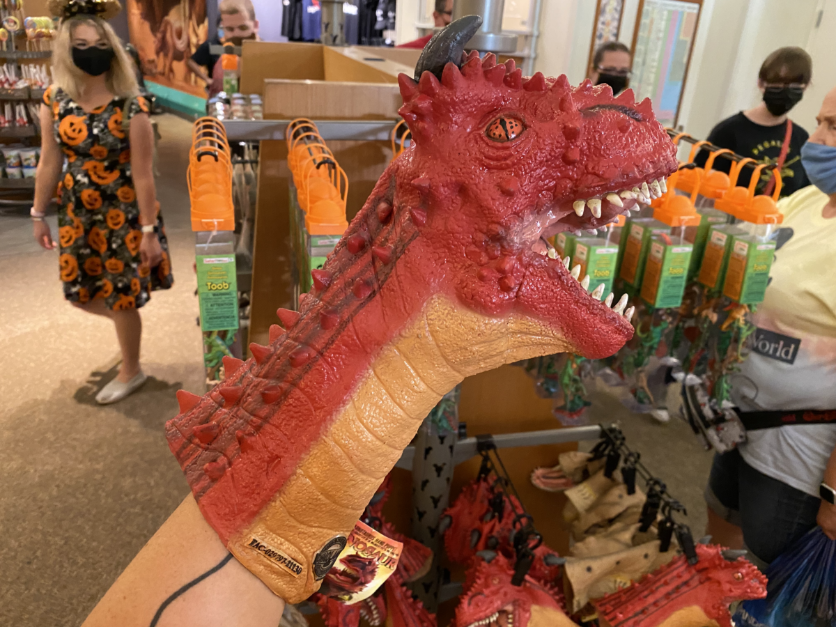 magic-kingdom-photo-report-10-29-2121