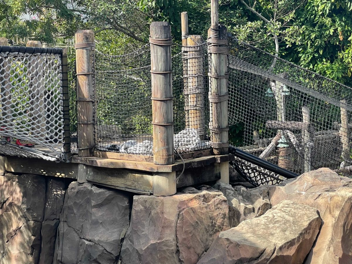 camp-jurassic-refurbishment-24-5103375