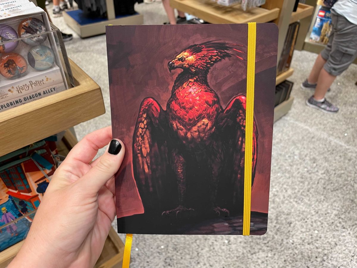 fawkes-notebook-5414474