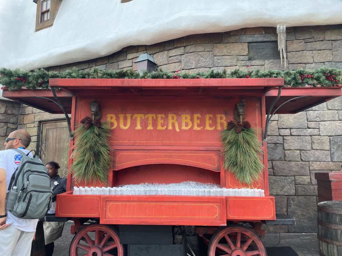 hogsmeade-christmas-decorations-45-9194000