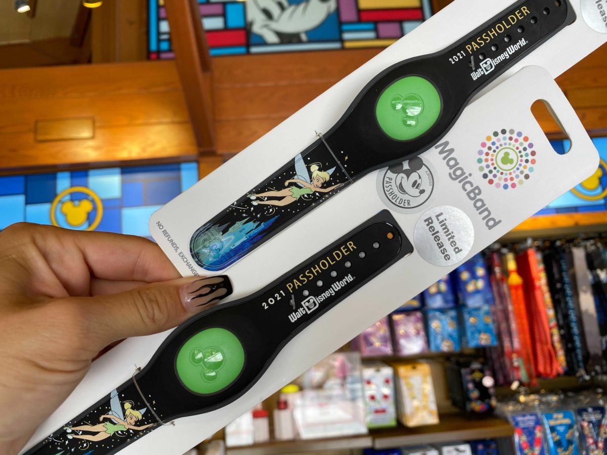 passholder-magicband-1-5848135