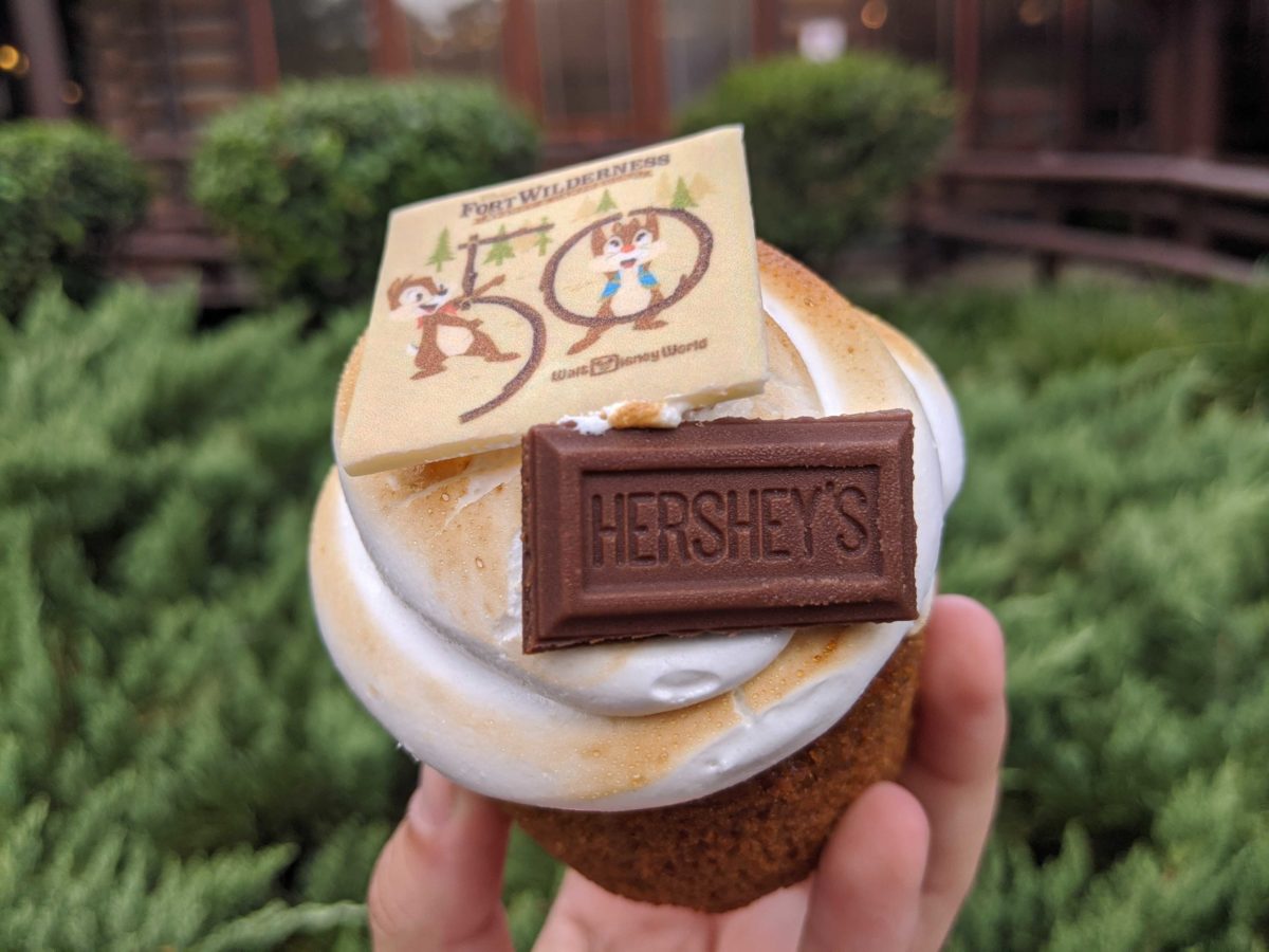 smores-cupcake-145830-1555040