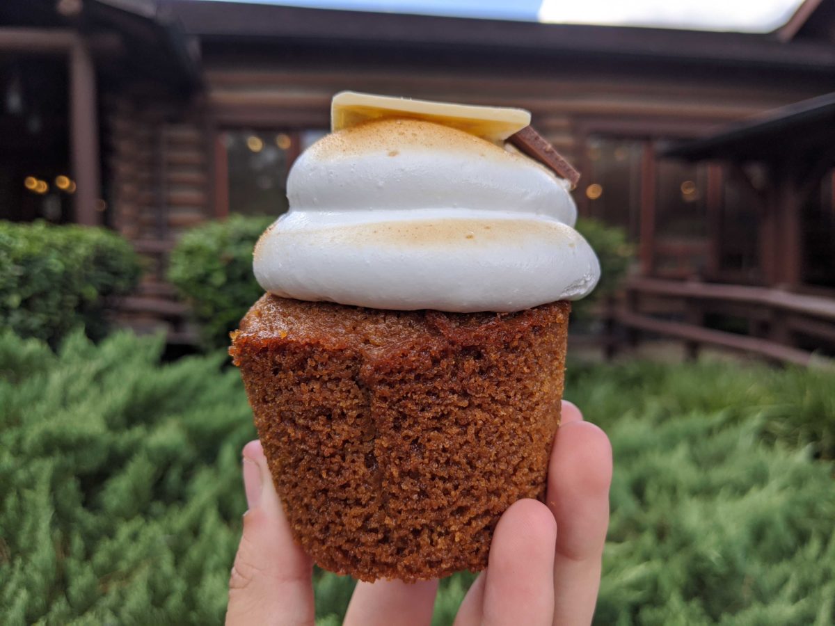 smores-cupcake-145902-9856780