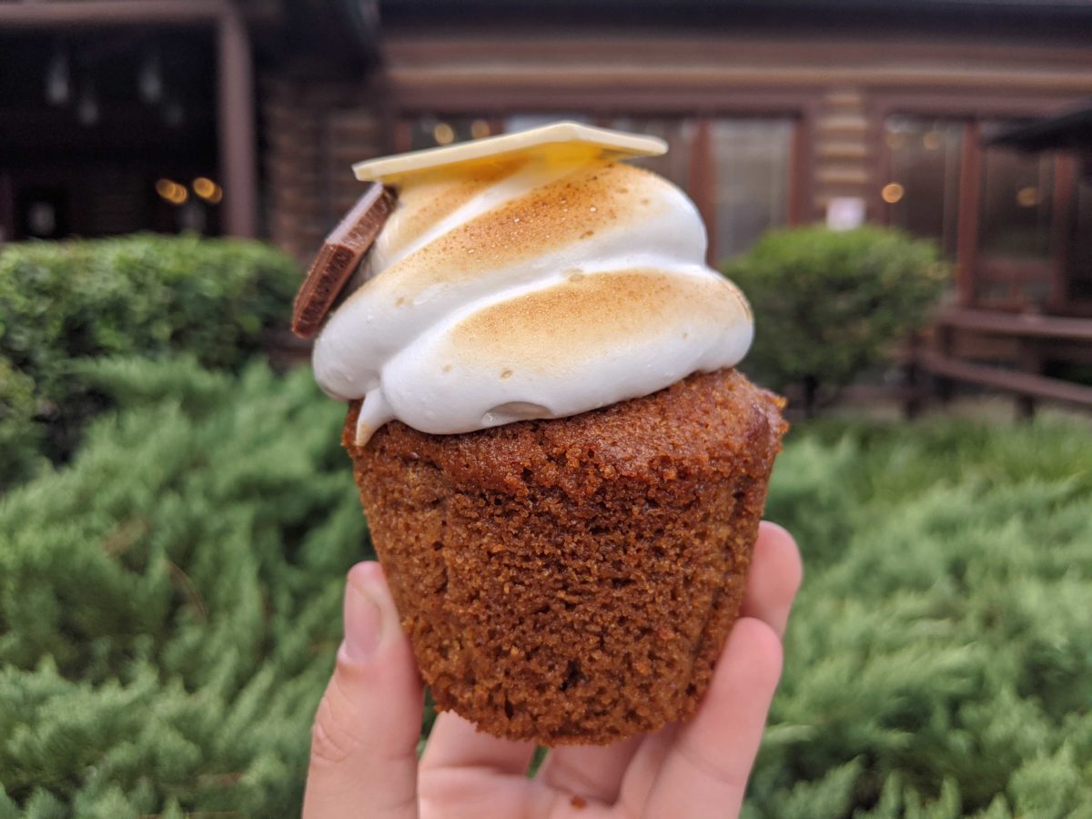 smores-cupcake-145921-6178334