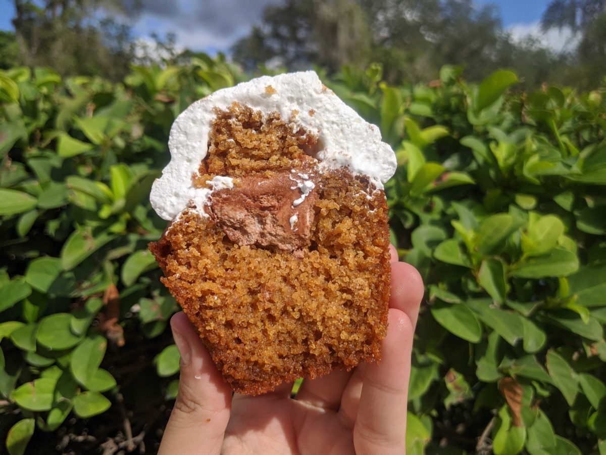 smores-cupcake-152300-1689147