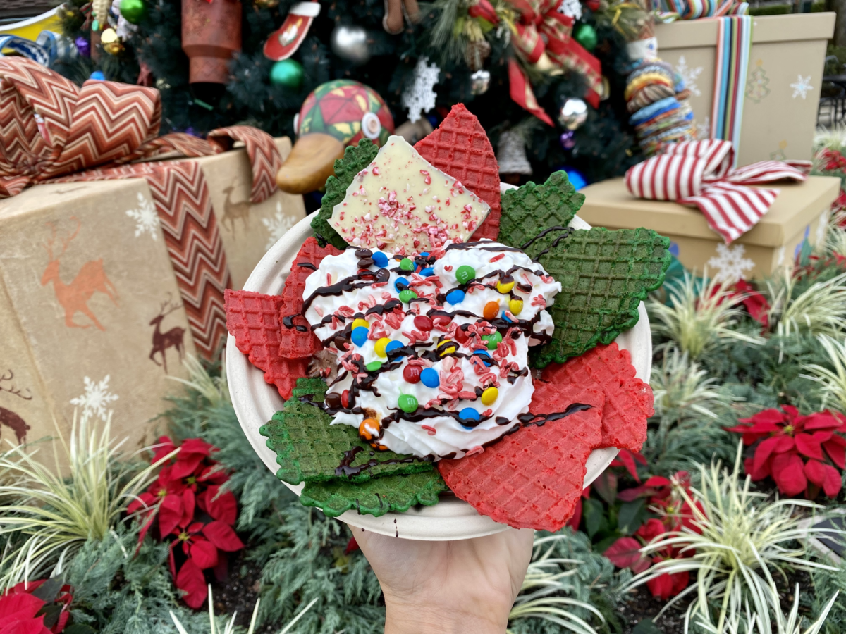 magic-kingdom-photo-report-11-6-21-2