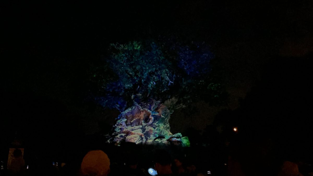 PHOTOS, VIDEO: Holiday Tree Of Life Awakenings Return To Disney's ...