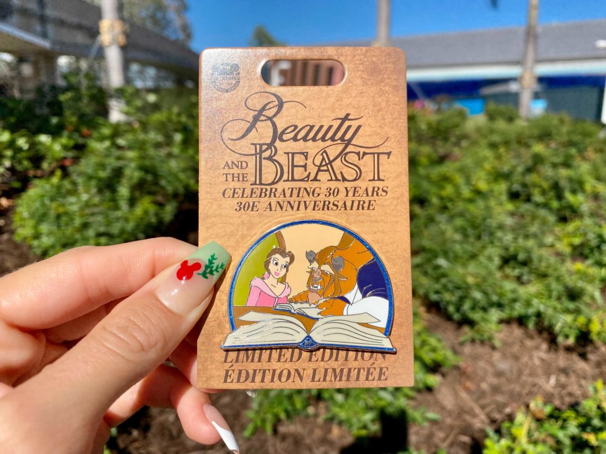 beauty-and-the-beast-pins-27-8223341