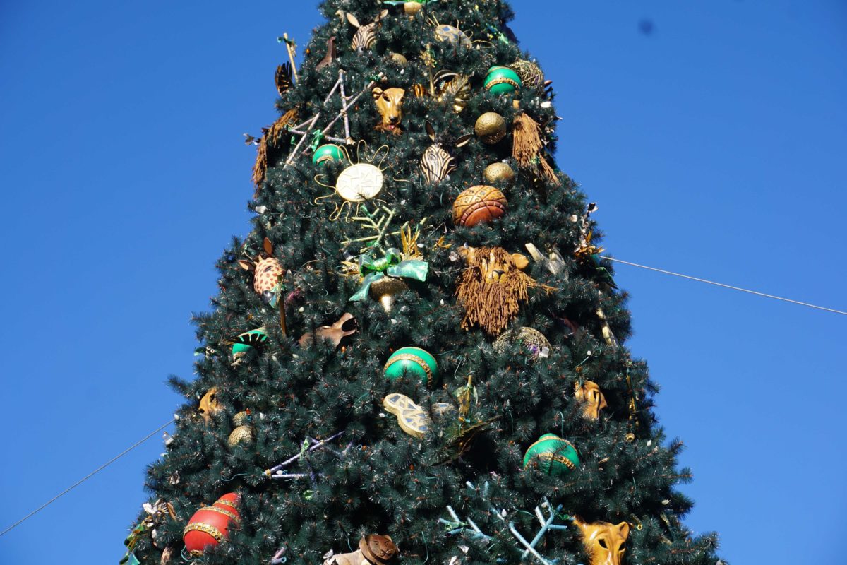dak-entrance-christmas-tree-28
