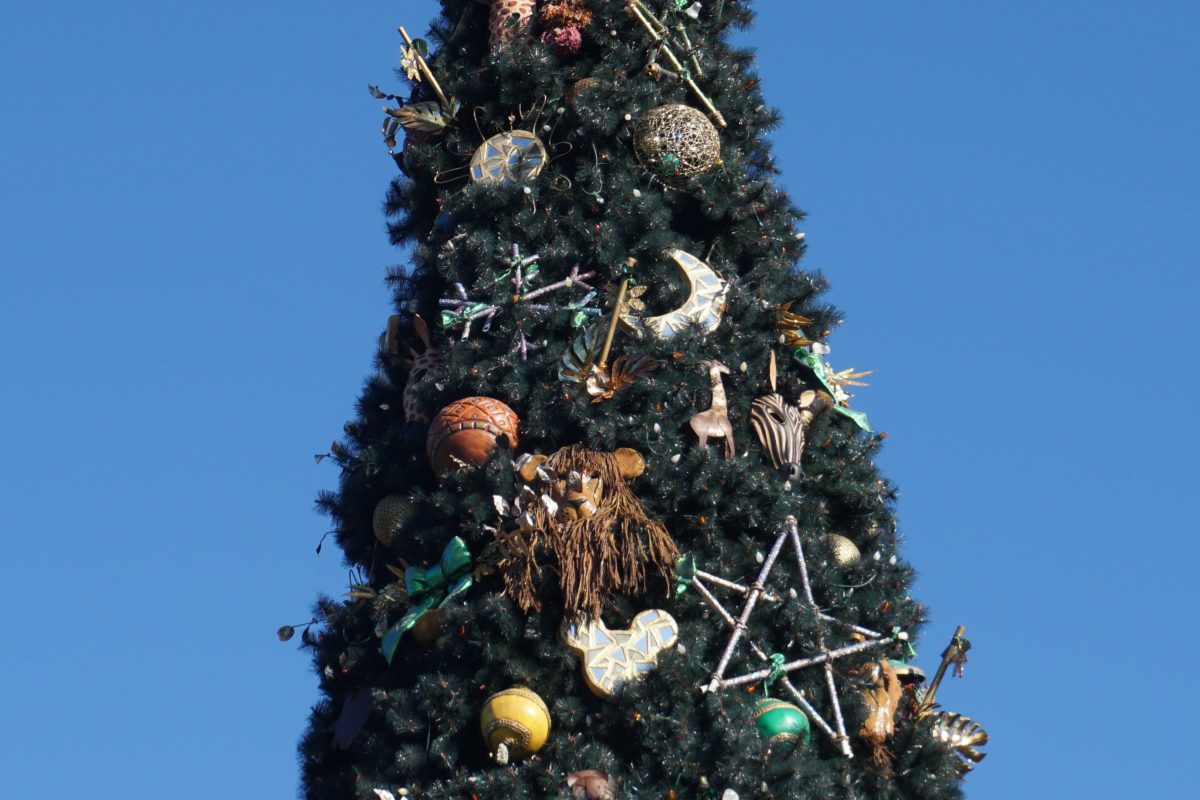 dak-entrance-christmas-tree-6